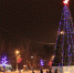 В Алексине зажглась главная городская елка - Aleksin24.Ru