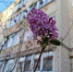 В Тульской области ожидается аномально теплая неделя - Aleksin-City.Info