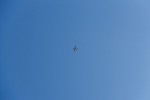 За сутки над Тульской областью уничтожены 16 беспилотников